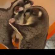 みあ 休み前の日❣️ PINK ROOM（ピンクルーム）