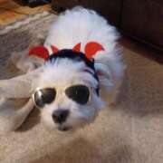 ヒメ日記 2026/03/24 14:39 投稿 戸崎のどか 五十路マダム 沼津店(カサブランカグループ)