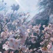 ヒメ日記 2026/04/05 13:48 投稿 すばる One More 奥様　池袋店