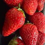 ヒメ日記 2026/04/18 08:44 投稿 るる 花火-hanabi-(すすきの)