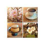 ヒメ日記 2026/03/08 12:03 投稿 美月　しずく YUDEN〜油殿〜谷九・日本橋店