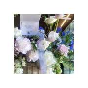 ヒメ日記 2026/03/11 07:30 投稿 美月　しずく YUDEN〜油殿〜谷九・日本橋店