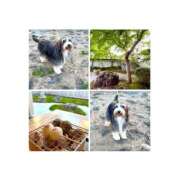 ヒメ日記 2026/03/30 12:05 投稿 美月　しずく YUDEN〜油殿〜谷九・日本橋店