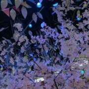 さくや じゅぼじゅぼ募集 カワサキ EROTIC