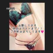 ヒメ日記 2026/08/17 11:30 投稿 さくや カワサキ EROTIC