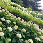 ヒメ日記 2026/06/30 06:32 投稿 りつ 梅田アバンチュール