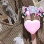 ヒメ日記 2026/03/11 14:26 投稿 きらり 2980円（にゃんきゅっぱ）