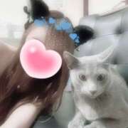 ヒメ日記 2026/04/15 12:46 投稿 きらり 2980円（にゃんきゅっぱ）