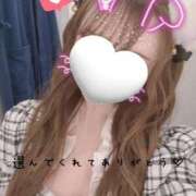 ヒメ日記 2026/07/02 08:46 投稿 きらり 2980円（にゃんきゅっぱ）