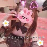ヒメ日記 2026/07/15 03:06 投稿 きらり 2980円（にゃんきゅっぱ）