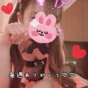ヒメ日記 2026/07/16 20:06 投稿 きらり 2980円（にゃんきゅっぱ）