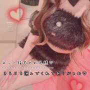 ヒメ日記 2026/07/22 03:46 投稿 きらり 2980円（にゃんきゅっぱ）