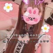 ヒメ日記 2026/07/23 08:56 投稿 きらり 2980円（にゃんきゅっぱ）
