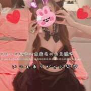 ヒメ日記 2026/08/01 04:56 投稿 きらり 2980円（にゃんきゅっぱ）