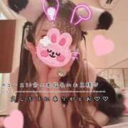 ヒメ日記 2026/08/09 08:06 投稿 きらり 2980円（にゃんきゅっぱ）