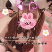 ヒメ日記 2026/08/09 16:36 投稿 きらり 2980円（にゃんきゅっぱ）