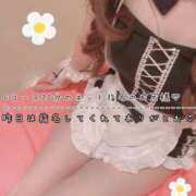 ヒメ日記 2026/08/13 17:46 投稿 きらり 2980円（にゃんきゅっぱ）