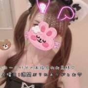 ヒメ日記 2026/08/31 07:36 投稿 きらり 2980円（にゃんきゅっぱ）