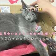ヒメ日記 2026/09/01 08:46 投稿 きらり 2980円（にゃんきゅっぱ）