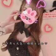 ヒメ日記 2026/09/01 18:46 投稿 きらり 2980円（にゃんきゅっぱ）