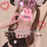 ヒメ日記 2026/09/04 07:56 投稿 きらり 2980円（にゃんきゅっぱ）