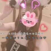 ヒメ日記 2026/09/05 08:16 投稿 きらり 2980円（にゃんきゅっぱ）