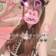 ヒメ日記 2026/09/12 06:06 投稿 きらり 2980円（にゃんきゅっぱ）
