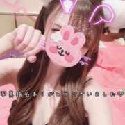 ヒメ日記 2026/09/15 06:56 投稿 きらり 2980円（にゃんきゅっぱ）