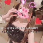 ヒメ日記 2026/09/16 06:26 投稿 きらり 2980円（にゃんきゅっぱ）