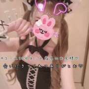 ヒメ日記 2026/09/22 05:36 投稿 きらり 2980円（にゃんきゅっぱ）