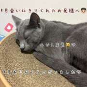 ヒメ日記 2026/10/03 04:46 投稿 きらり 2980円（にゃんきゅっぱ）