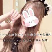 ヒメ日記 2026/10/13 07:06 投稿 きらり 2980円（にゃんきゅっぱ）
