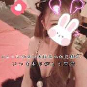 ヒメ日記 2026/10/16 07:16 投稿 きらり 2980円（にゃんきゅっぱ）
