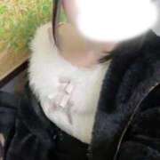 ヒメ日記 2026/03/22 00:54 投稿 中野めあ 手コキ研修塾