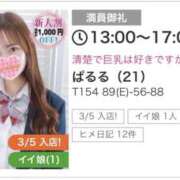 ヒメ日記 2026/04/03 19:53 投稿 ぱるる コンクラ秋葉原