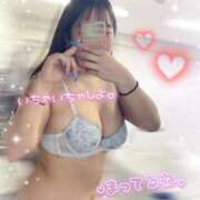 ヒメ日記 2026/04/02 16:13 投稿 さつき 綺麗すぎるほどF美乳 L＆Jブラザーズ