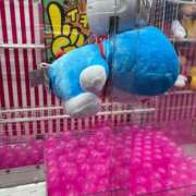 ヒメ日記 2026/03/09 21:07 投稿 るびー 素人ぽちゃカワ学園