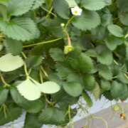 ヒメ日記 2026/03/21 09:52 投稿 みりあ セレブクエスト-omiya-