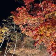 ヒメ日記 2026/03/13 17:43 投稿 きら奥様 なすがママされるがママ