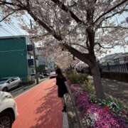 れい れいです♪ 熟女の風俗最終章 本厚木店