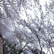 れい れいです♪ 熟女の風俗最終章 本厚木店