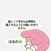 地元産/はるの はるのからお願いがあります😭🙇‍♀️ PREMIUMー萌ー