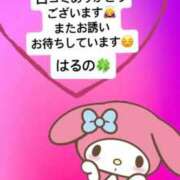 ヒメ日記 2026/04/19 21:55 投稿 地元産/はるの PREMIUMー萌ー