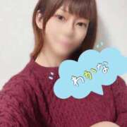 ヒメ日記 2026/03/15 23:15 投稿 わかな 和楽(わらく)