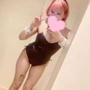 ヒメ日記 2026/03/16 08:35 投稿 エム ドMなバニーちゃん すすきの店