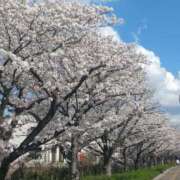 ヒメ日記 2026/03/29 12:08 投稿 みれい 熟女デリヘル倶楽部