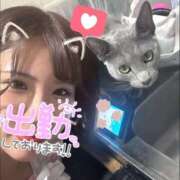 ヒメ日記 2026/09/21 09:09 投稿 りこ ハピネス＆ドリーム 松山道後温泉