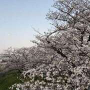 ヒメ日記 2026/04/06 13:36 投稿 カエラ VIVIDCREWマダムセカンドバージン 梅田店