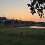 ヒメ日記 2026/04/16 06:38 投稿 カエラ VIVIDCREWマダムセカンドバージン 梅田店