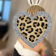 ヒメ日記 2026/04/25 11:52 投稿 カエラ VIVIDCREWマダムセカンドバージン 梅田店